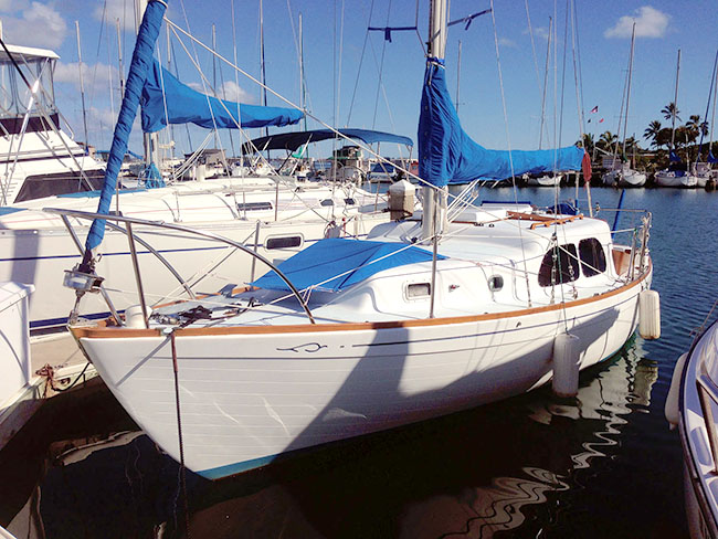 29 Islander